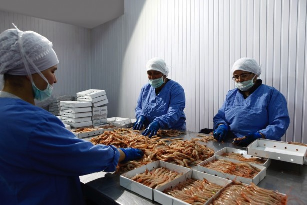 Foto - Japonlar ihracat rekorları kıran 100 yıllık Türk şirketini satın almaya karar verdi! Rakam sır gibi saklanıyor