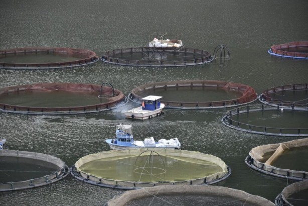 Foto - Japonlar ihracat rekorları kıran 100 yıllık Türk şirketini satın almaya karar verdi! Rakam sır gibi saklanıyor