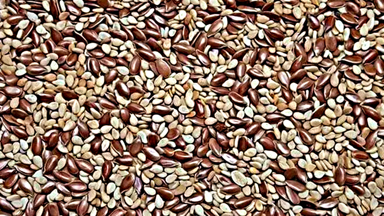 Foto - Japonlar kaşık kaşık yiyor, doğal şeker ilacı! Kolesterolü damardan silip atıyor, kemikleri beton gibi güçlendiriyor!