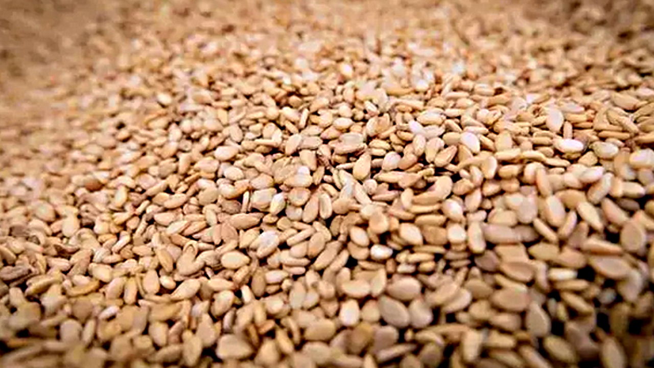 Foto - Japonlar kaşık kaşık yiyor, doğal şeker ilacı! Kolesterolü damardan silip atıyor, kemikleri beton gibi güçlendiriyor!