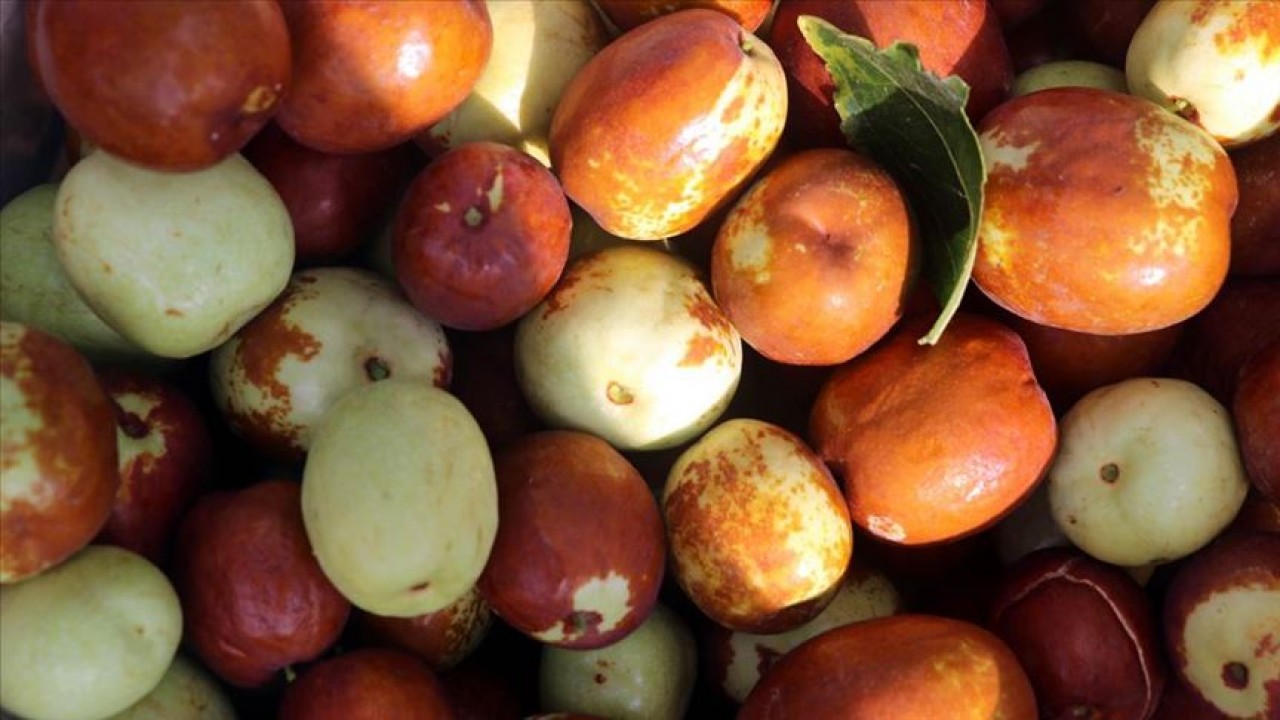 Foto - Japonların ölümsüzlük meyvesi doktor hünnap tezgahta! Kilosu 125 TL... İşte faydaları!