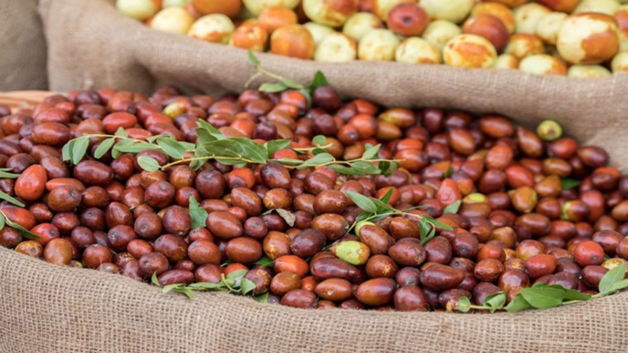 Foto - Japonların ölümsüzlük meyvesi doktor hünnap tezgahta! Kilosu 125 TL... İşte faydaları!