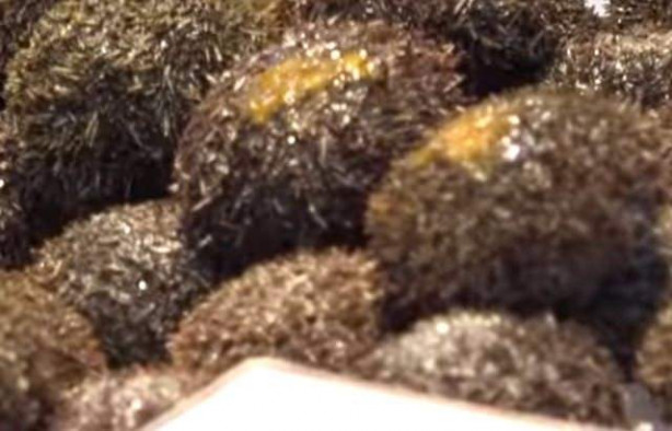 Foto - Japonların sıra dışı sokak yemekleri