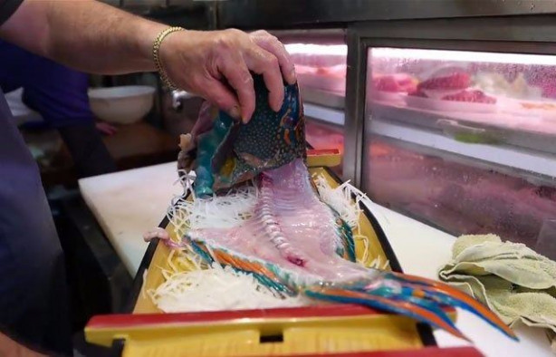 Foto - Japonların sıra dışı sokak yemekleri