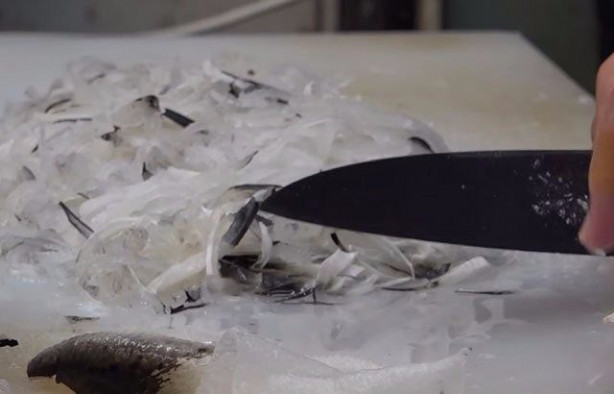 Foto - Japonların sıra dışı sokak yemekleri