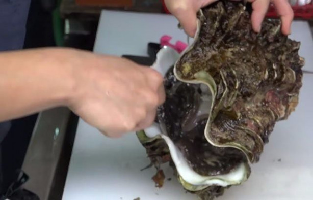 Foto - Japonların sıra dışı sokak yemekleri