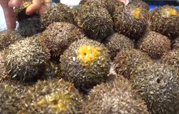 Foto - Japonların sıra dışı sokak yemekleri