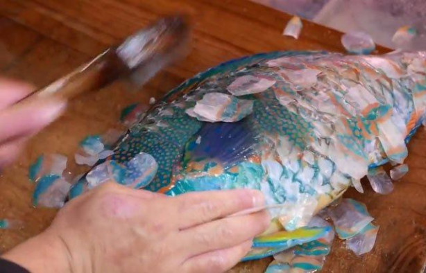 Foto - Japonların sıra dışı sokak yemekleri