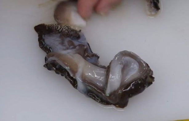 Foto - Japonların sıra dışı sokak yemekleri