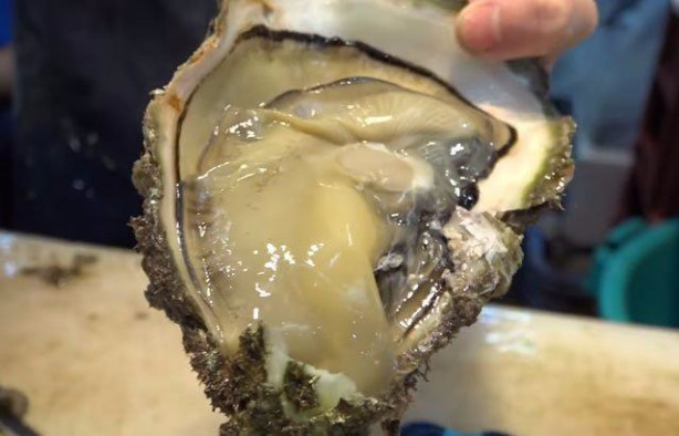 Foto - Japonların sıra dışı sokak yemekleri