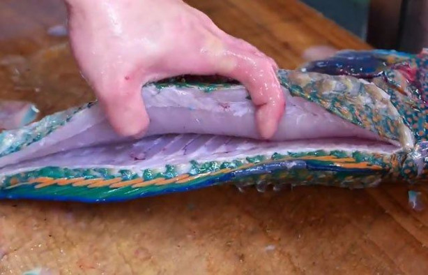 Foto - Japonların sıra dışı sokak yemekleri