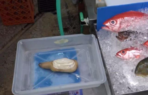 Foto - Japonların sıra dışı sokak yemekleri