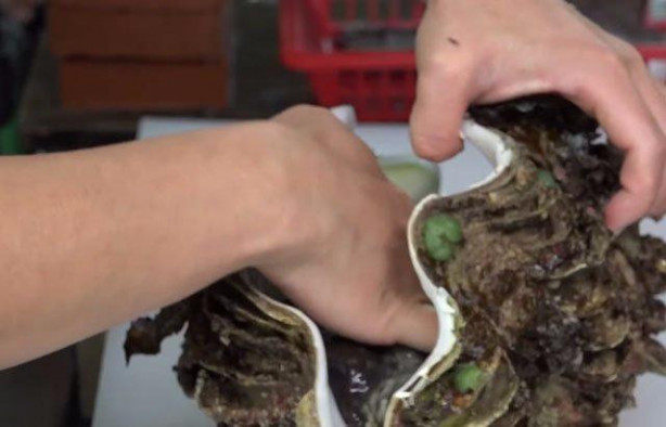 Foto - Japonların sıra dışı sokak yemekleri