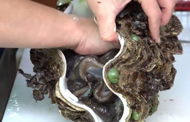 Foto - Japonların sıra dışı sokak yemekleri