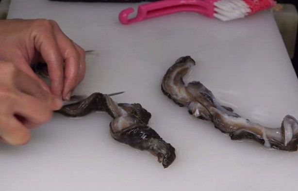 Foto - Japonların sıra dışı sokak yemekleri