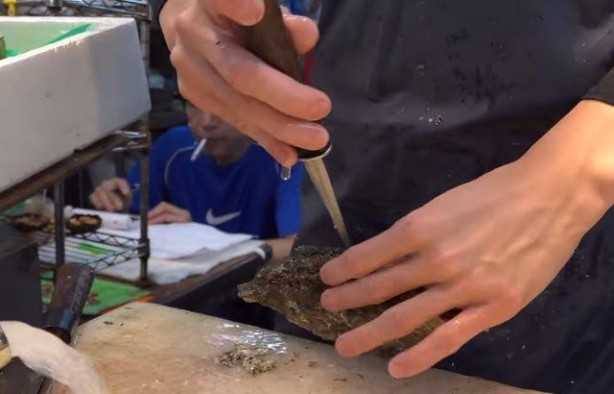 Foto - Japonların sıra dışı sokak yemekleri