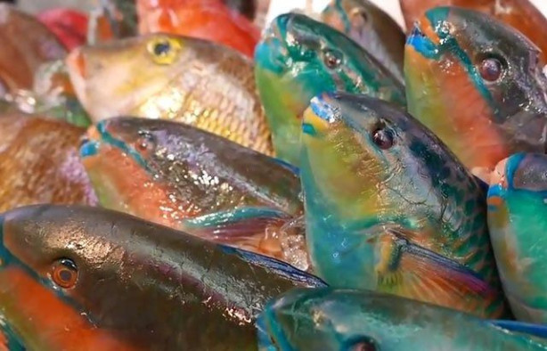 Foto - Japonların sıra dışı sokak yemekleri