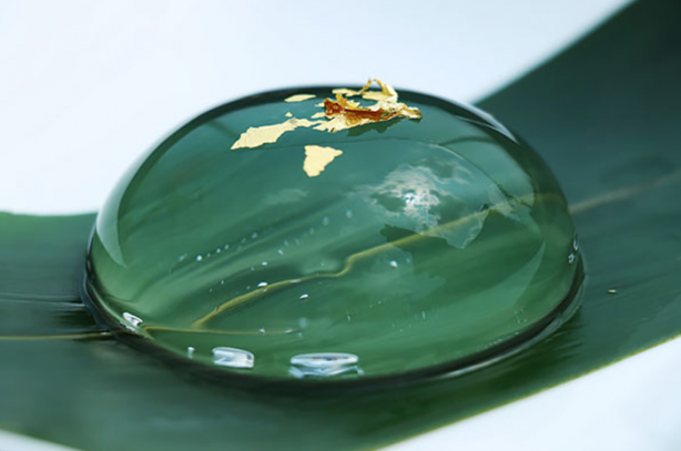 Foto - Japonların tatlı sanatı