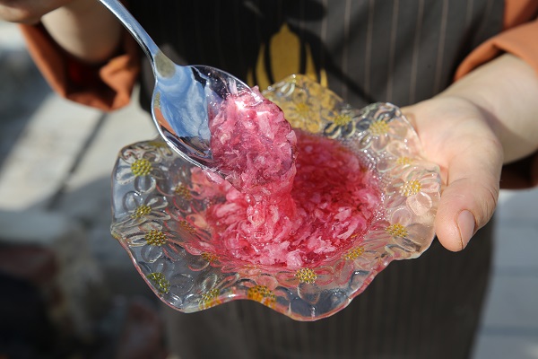 Foto - Japonların ünlü çiçeği Türkiye’de reçel oldu