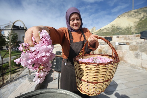 Foto - Japonların ünlü çiçeği Türkiye’de reçel oldu