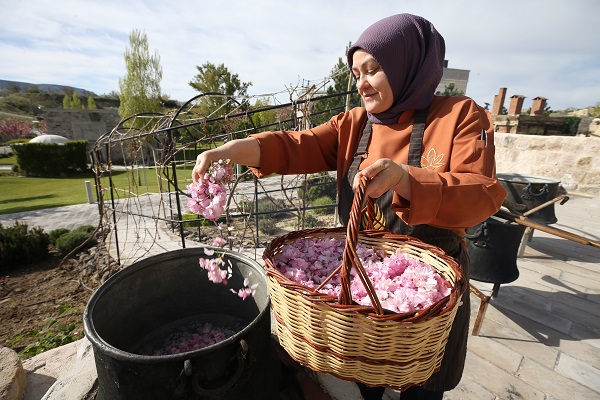 Foto - Japonların ünlü çiçeği Türkiye’de reçel oldu