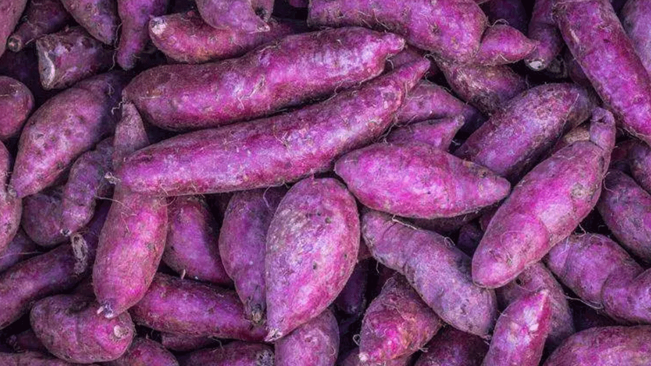 Foto - Japonların uzun yaşam sırrı ortaya çıktı!