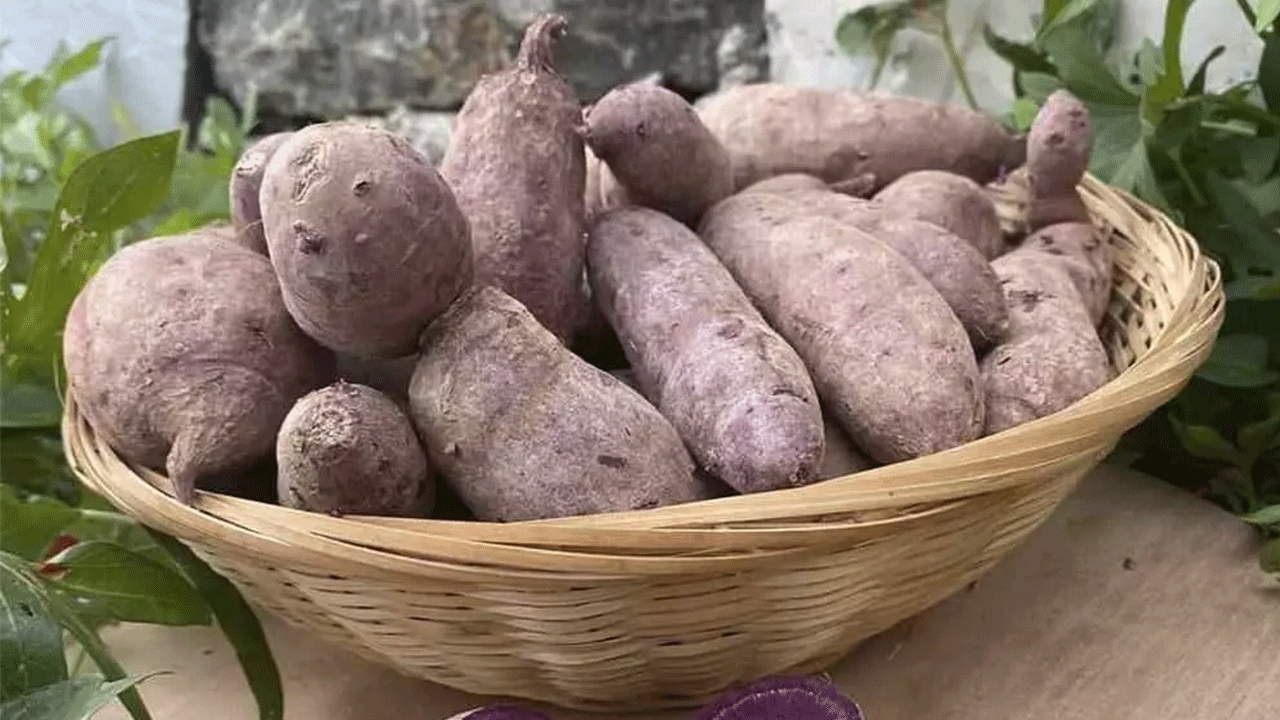 Foto - Japonların uzun yaşam sırrı ortaya çıktı!