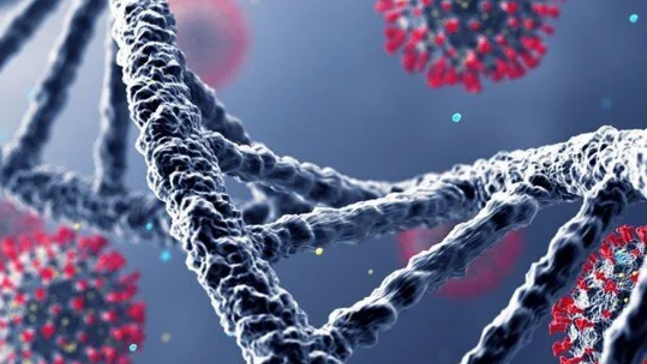 Foto - Japonya açıkladı: Zayıf kişilerin, Kovid-19'u normal kilolulardan daha ağır geçirme riski taşıdığı belirlendi