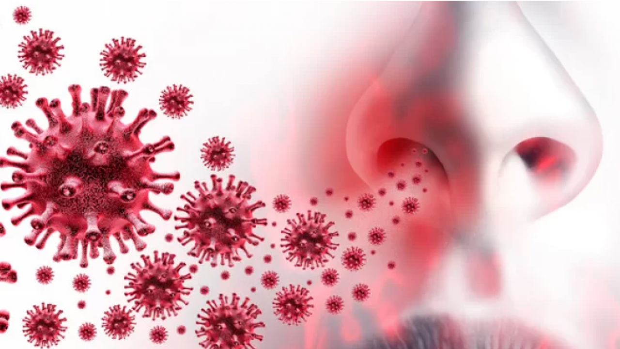 Foto - Japonya açıkladı: Zayıf kişilerin, Kovid-19'u normal kilolulardan daha ağır geçirme riski taşıdığı belirlendi