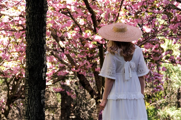 Foto - Japonya değil Türkiye! Ankara'da Sakura mevsimi 