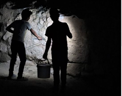 Japonya, Güney Kore ve Çin bu zehri satın almak için Urfa'ya geldi! Yanlış duymadınız, litre litre zehir alacaklar