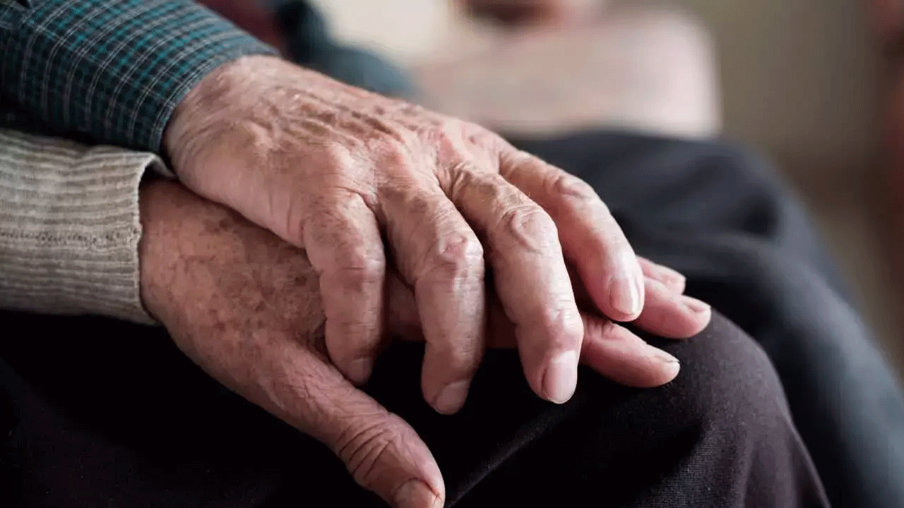 Foto - Japonya'da bir garip endüstri: Büyükanne kiralama servisi!