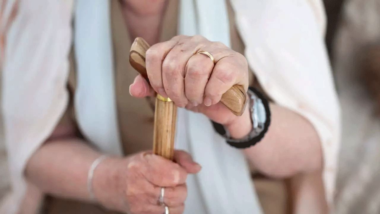 Japonya'da bir garip endüstri: Büyükanne kiralama servisi!