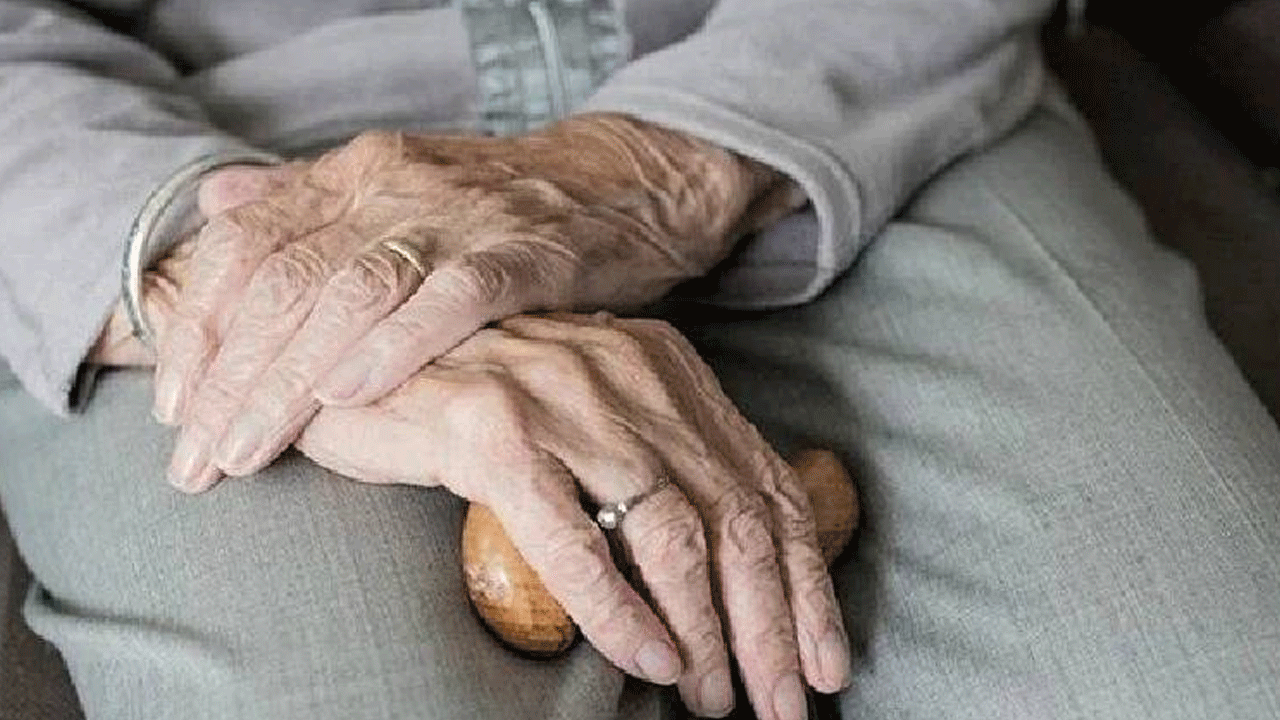 Foto - Japonya'da bir garip endüstri: Büyükanne kiralama servisi!