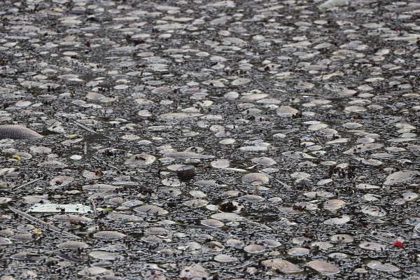 Foto - Japonya'da olan korkunç olay Gaziantep'te de oldu! Antepliler gördükleri manzara karşısında küçük dillerini yuttu! Taaaa bir ay önceden başlamış