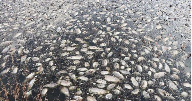 Foto - Japonya'da olan korkunç olay Gaziantep'te de oldu! Antepliler gördükleri manzara karşısında küçük dillerini yuttu! Taaaa bir ay önceden başlamış