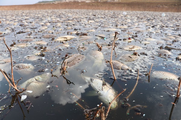 Foto - Japonya'da olan korkunç olay Gaziantep'te de oldu! Antepliler gördükleri manzara karşısında küçük dillerini yuttu! Taaaa bir ay önceden başlamış