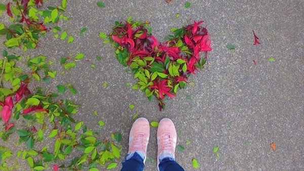 Japonya'da yere düşen yapraklar çöpe atılmıyor! Çünkü...