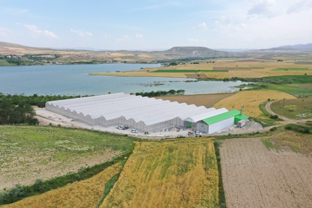 Foto - Jeotermal serada 'topraksız tarım'a başlandı! Günlük üretim duyanları şaşkına çevirdi