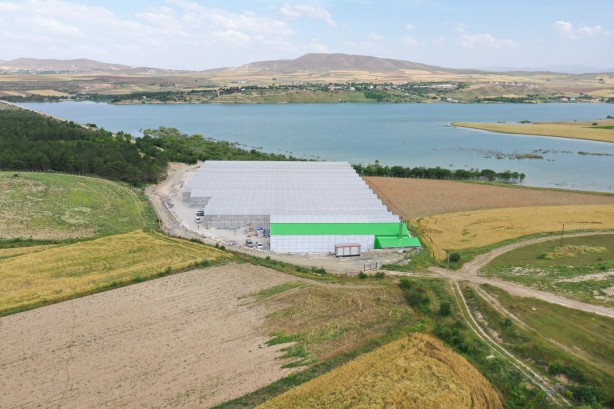 Jeotermal serada 'topraksız tarım'a başlandı! Günlük üretim duyanları şaşkına çevirdi