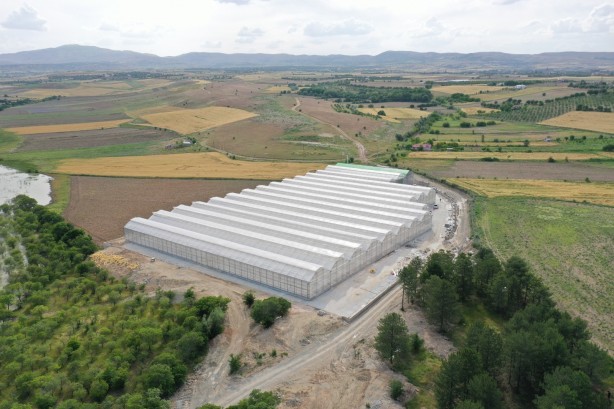 Foto - Jeotermal serada 'topraksız tarım'a başlandı! Günlük üretim duyanları şaşkına çevirdi