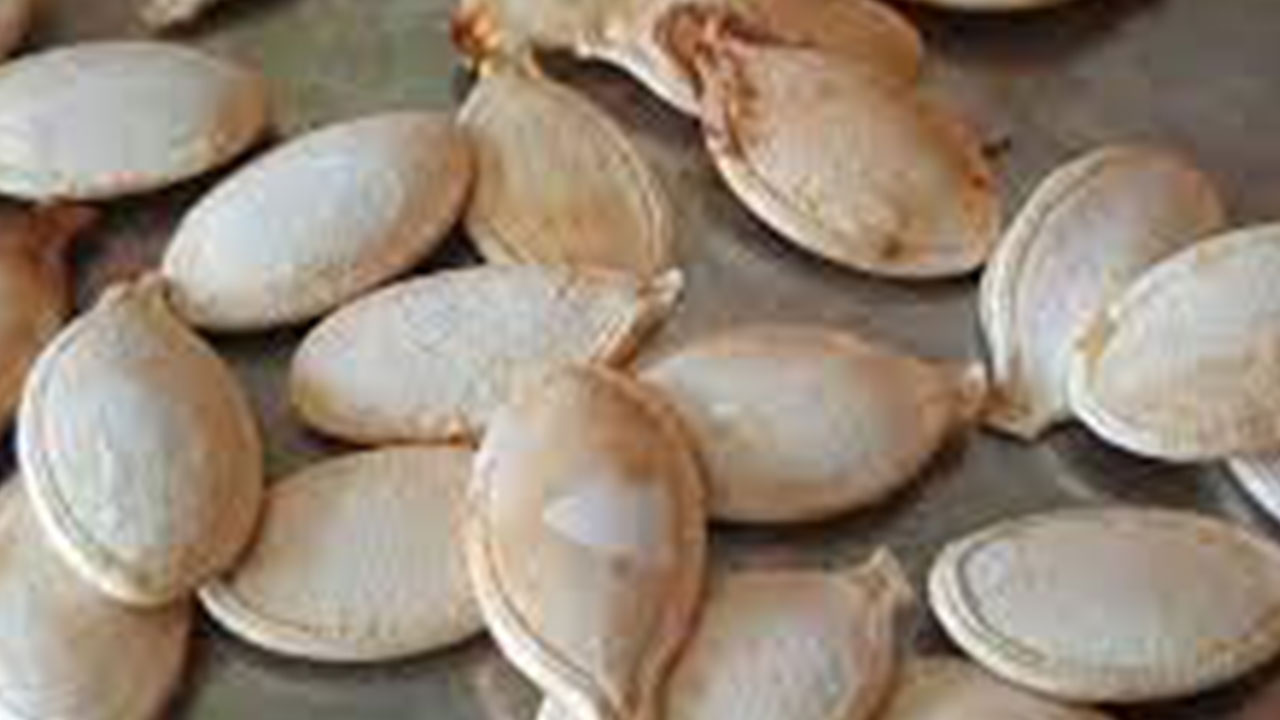 Foto - Kabak çekirdeği raflardan çekiliyor! Satışı acil olarak yasaklandı