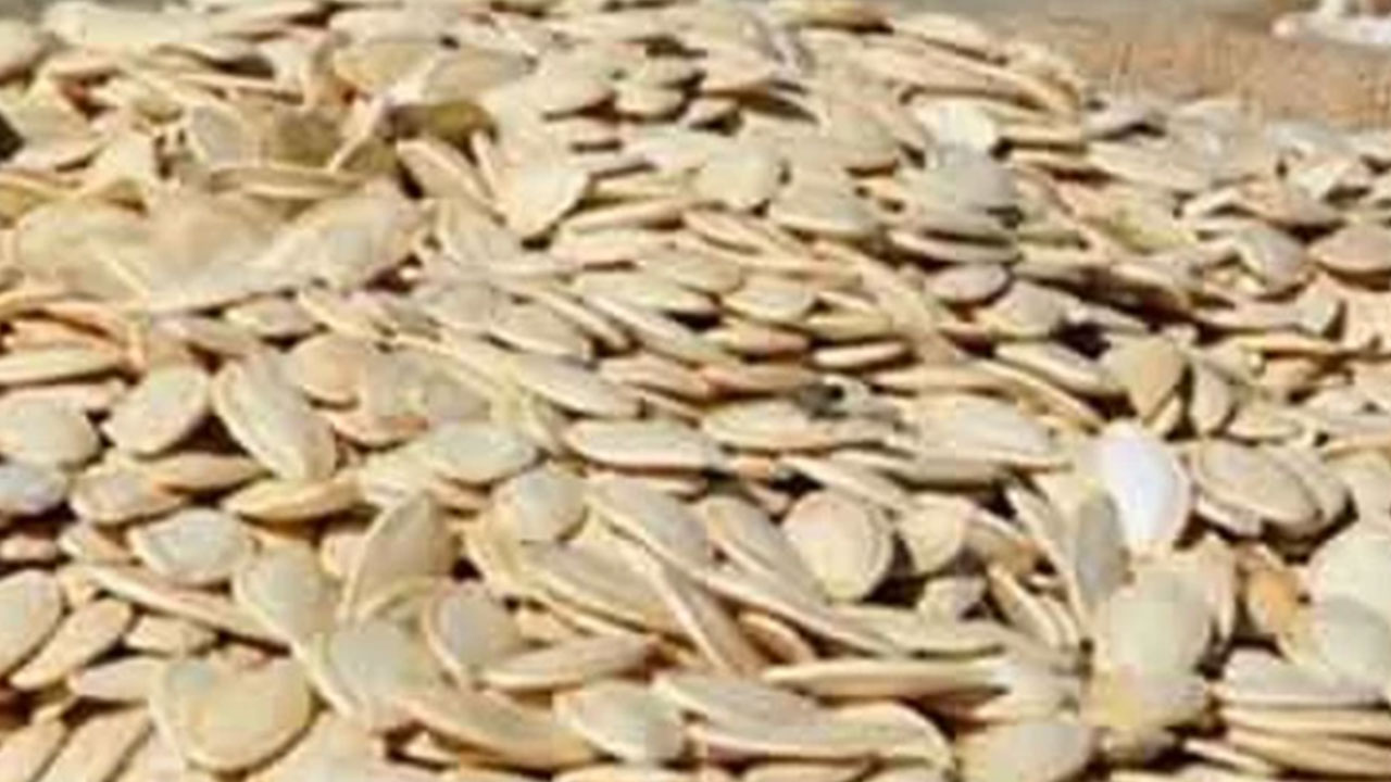 Foto - Kabak çekirdeği raflardan çekiliyor! Satışı acil olarak yasaklandı