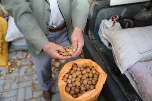 Foto - Kabuğuna sığmayan lezzete yoğun talep