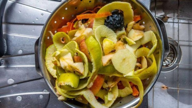 Foto - Kabuğunu çöpe değil, suya atanlar yaşadı! Ne kötü kolesterol ne toksin bırakıyor