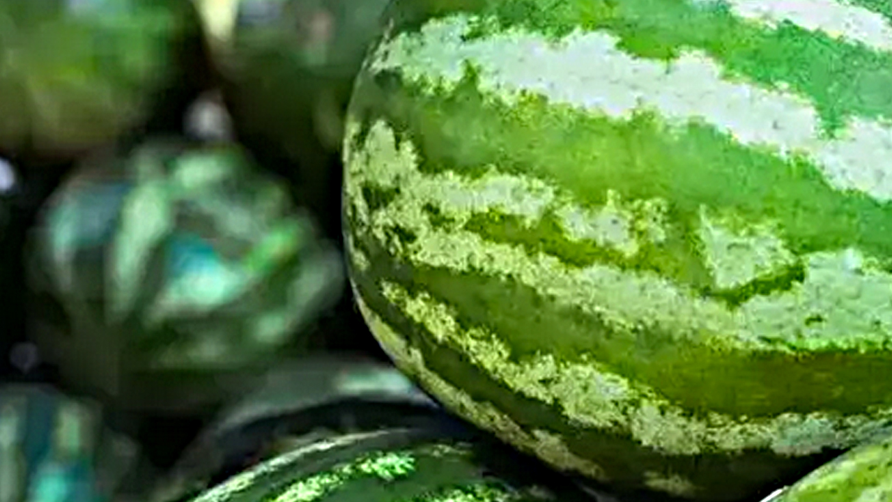 Foto - Kahvaltı sofralarının favorisi! Herkes çöpe atıyor ama büyük hata