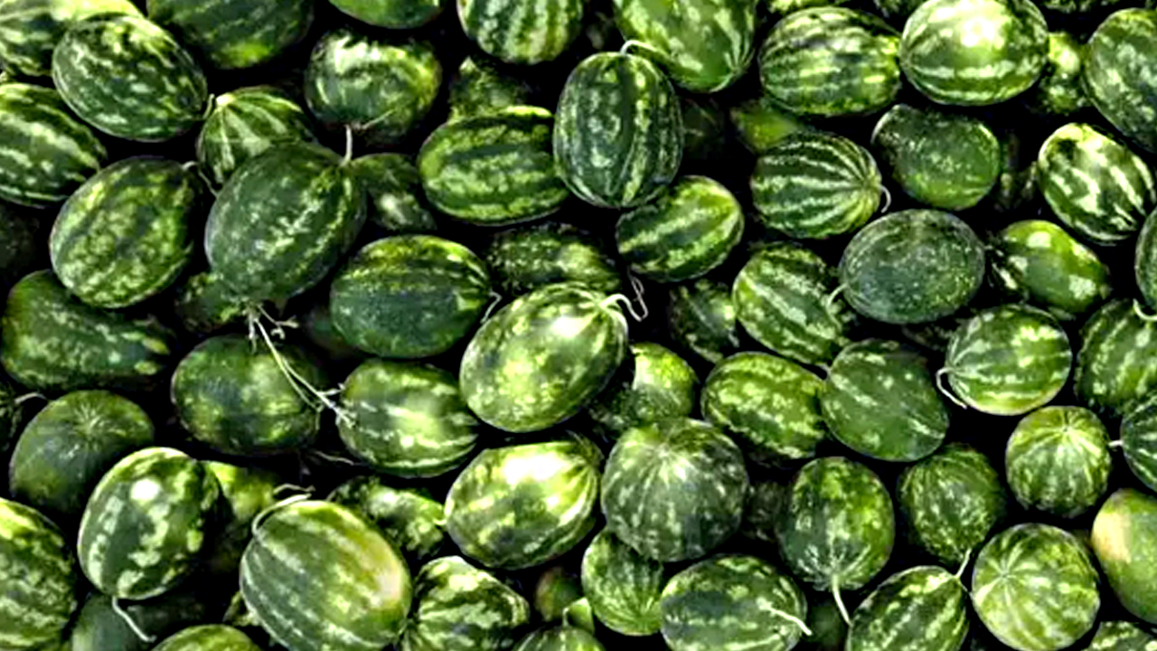 Kahvaltı sofralarının favorisi! Herkes çöpe atıyor ama büyük hata