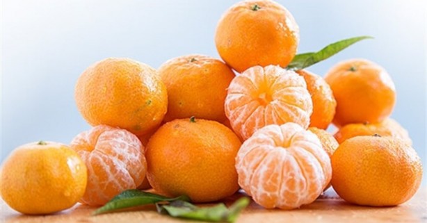 Foto - Kabuk deyip geçmeyin! Tam bir şifa kaynağı