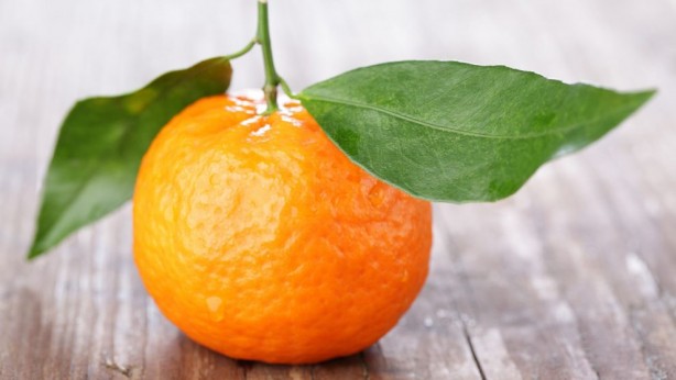 Foto - Kabuk deyip geçmeyin! Tam bir şifa kaynağı