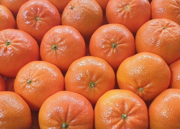 Foto - Kabuk deyip geçmeyin! Tam bir şifa kaynağı